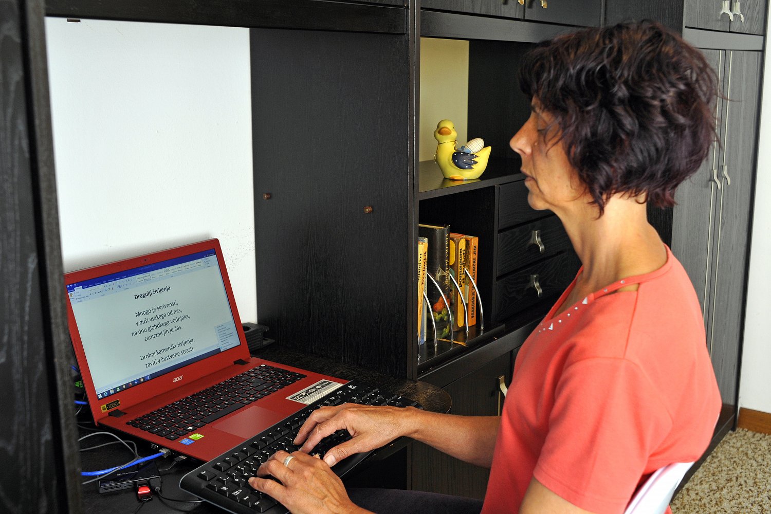 Ženska z okvaro vida s krajše pristriženimi temnimi lasmi v rdeči majici v domačem okolju sedi pred rdečim računalnikom in piše poezijo. Prsti počivajo na tipkah tipkovnice ki je povezana z računalnikom. Na črni omari za njo so zložene knjige eno polico višje pa stoji rumena in modra keramična raca.