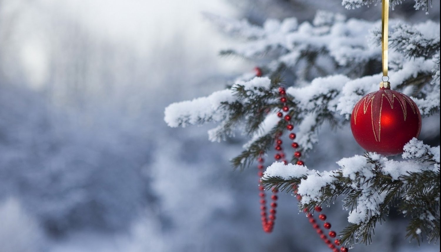 Božična fotografija prikazuje zasneženo smreko z novoletnim okraskom.